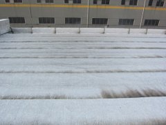 戴維布朗屋頂